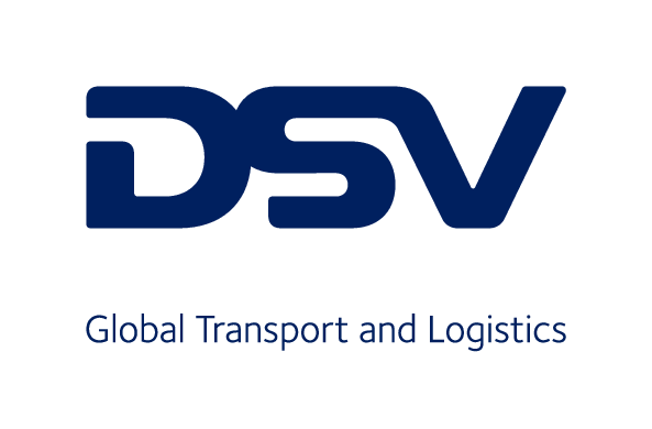 dsv_logo_2