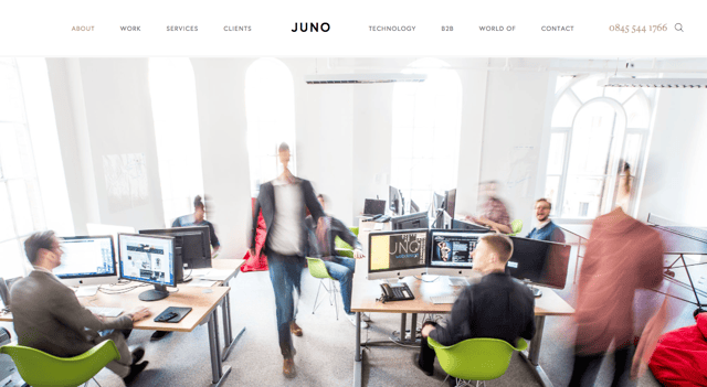 Juno-Web-Design.png