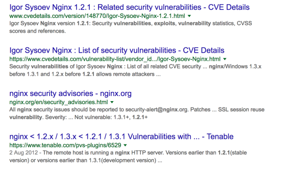 exploit-google-search.png